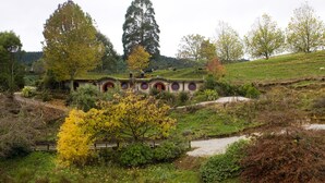 A Hobbiton-themed park with a pond, trees, and a building with round windows. - Woodlyn Park (Waitomo Caves)