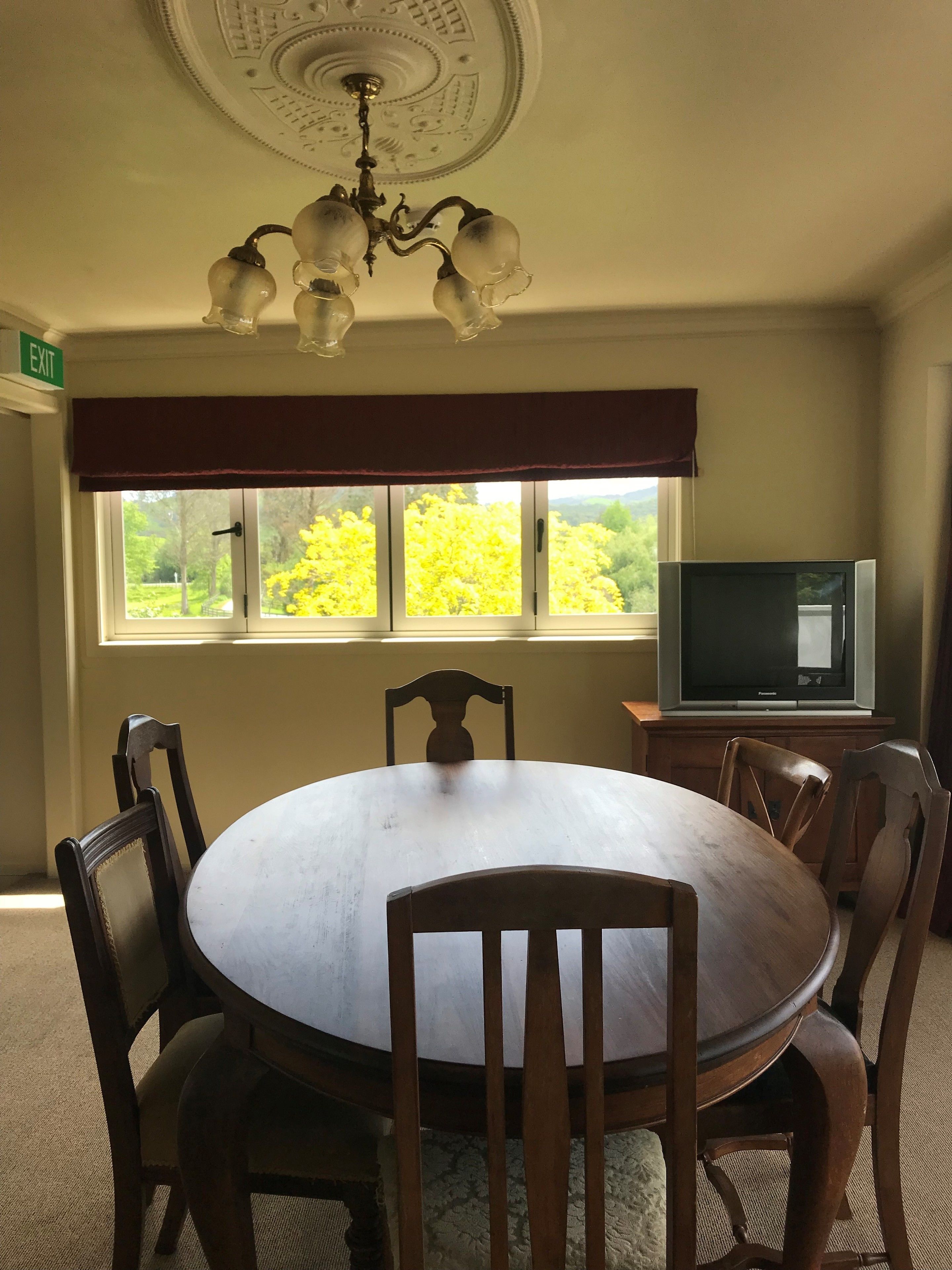 A dining area with a round table, wooden chairs, a chandelier, a television on a stand, and a window with a view of trees.