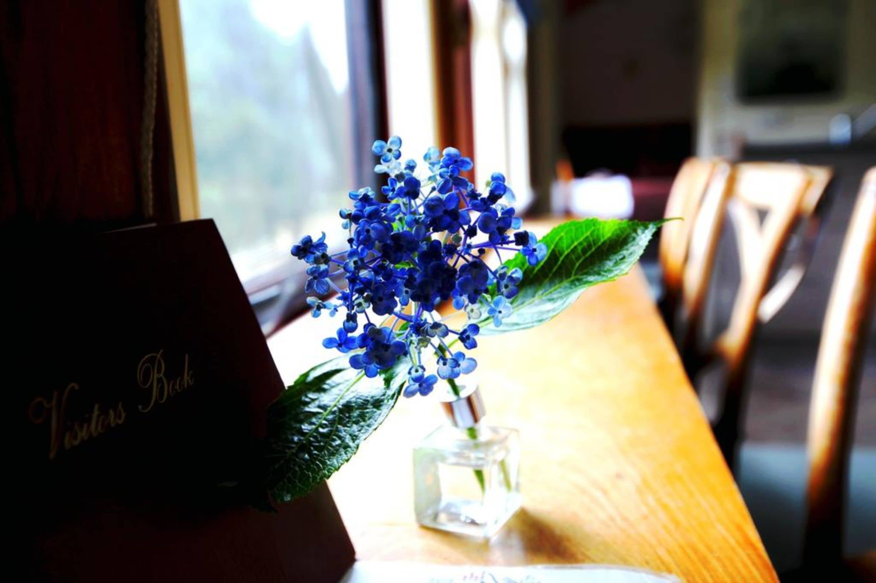A table with a vase of blue flowers and a 'Visitors Book' on it.