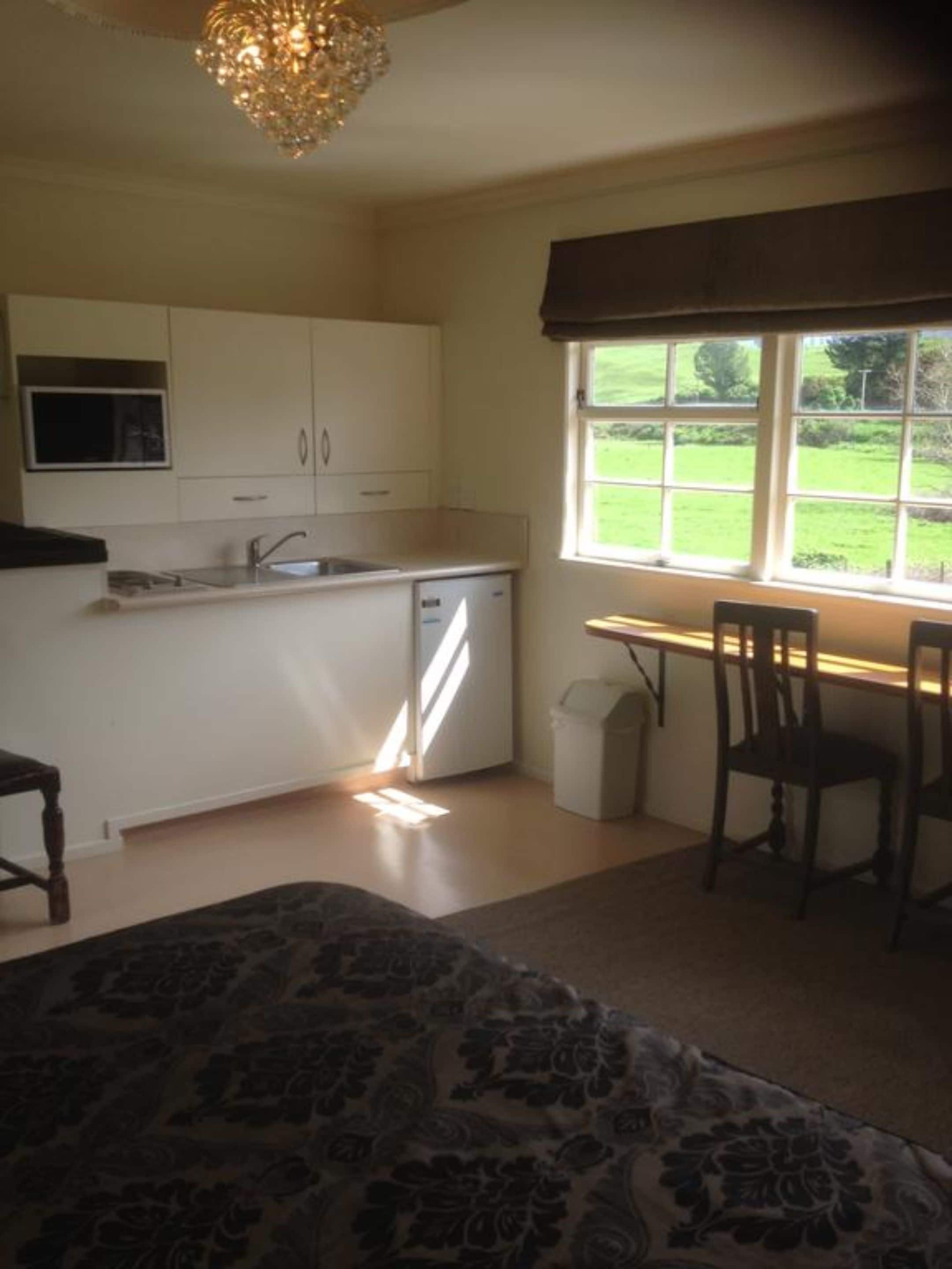 A compact kitchen with white cabinets, a built-in microwave, and a window overlooking a green landscape.