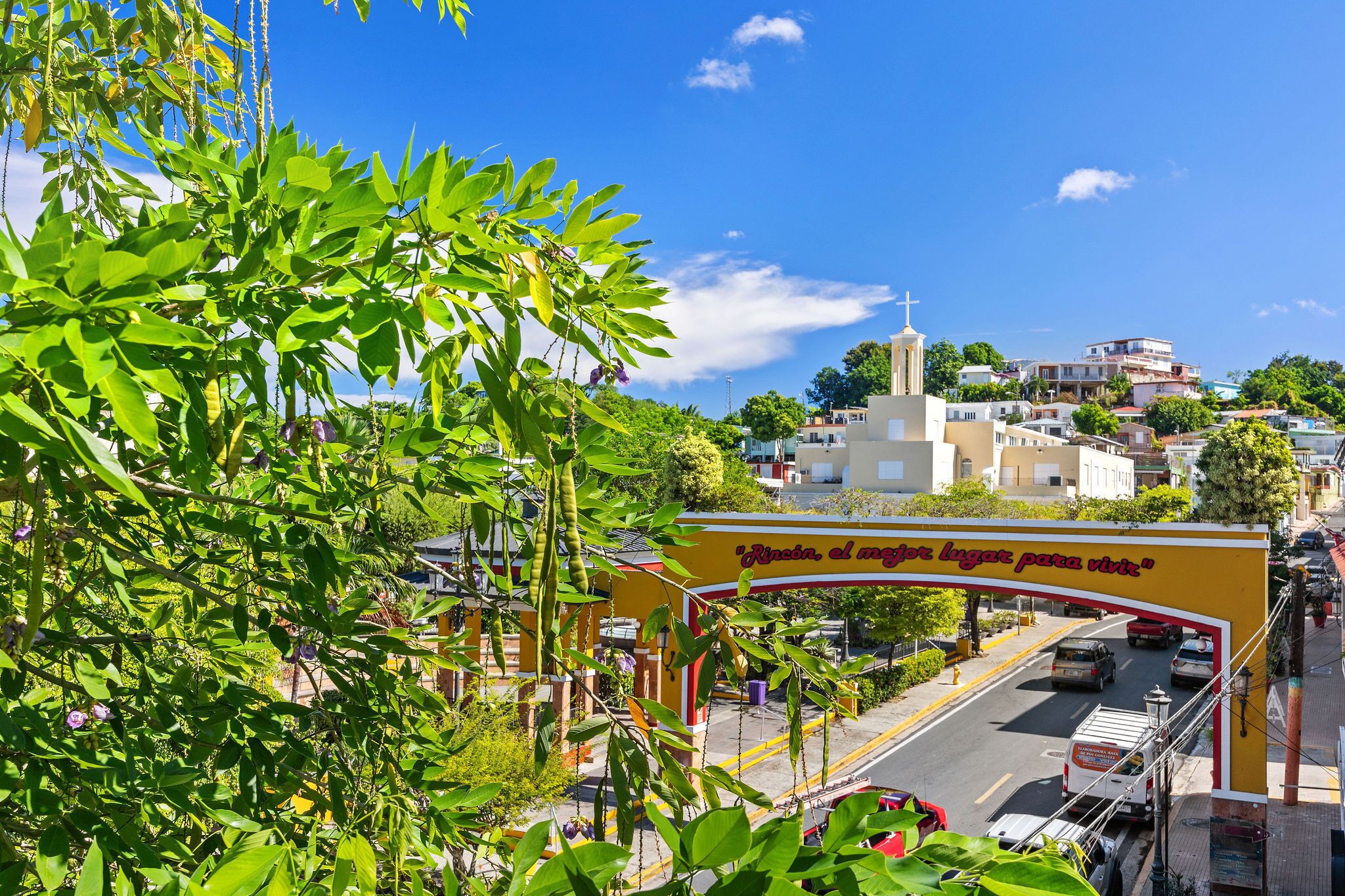 standard single room, balcony, park view | balcony view
