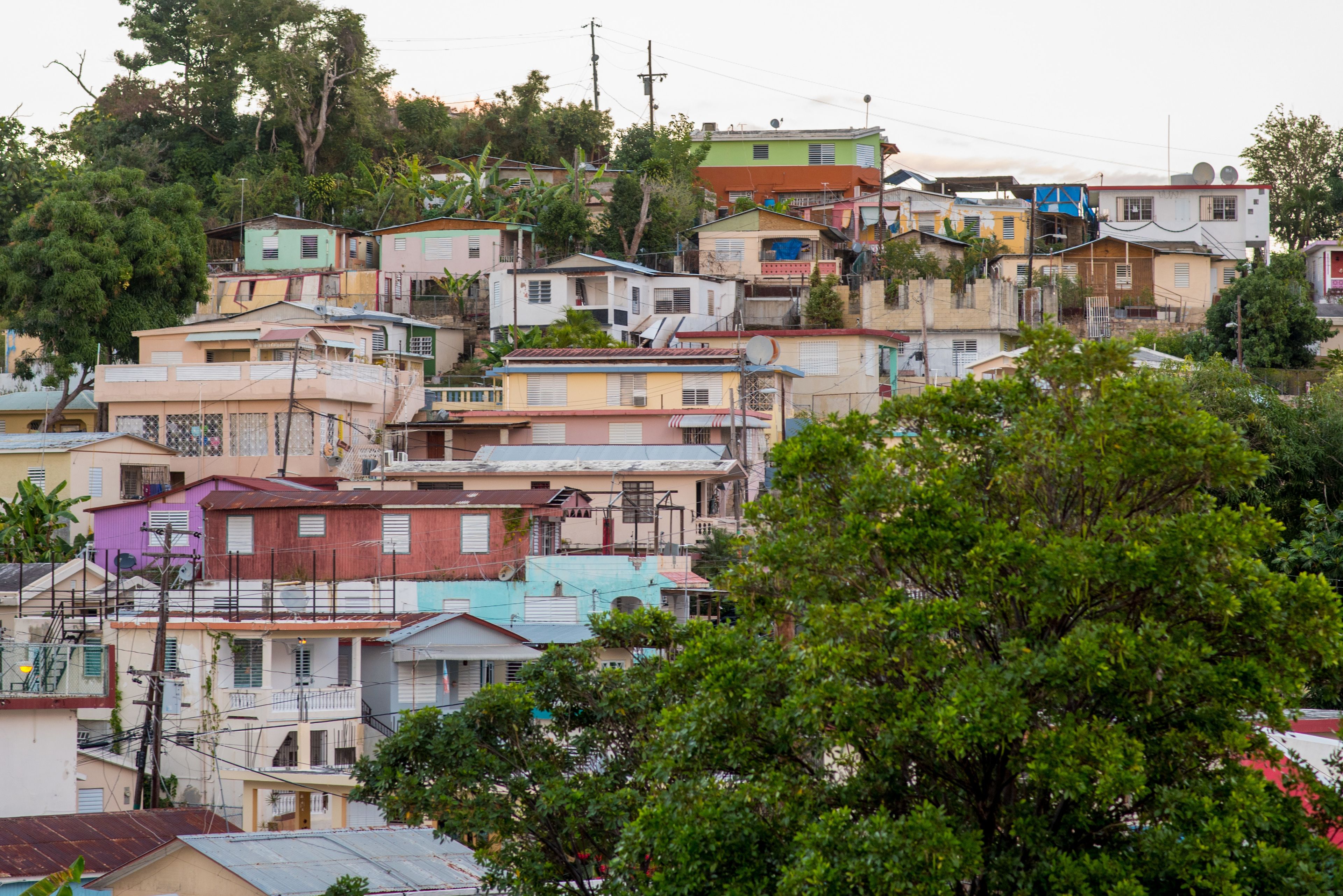 room, balcony, garden view | garden view