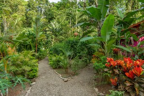 Superior Villa, 2 Bedrooms | Terrace/patio