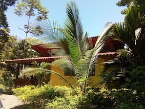 View from room - Colores del Caribe (Cahuita)