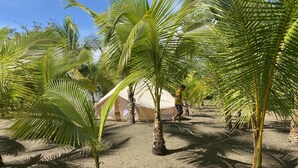 A tented area with palm trees and a clear sky. - Hotel Hibiscus Garden / Jardin De Papos (Hicaco)
