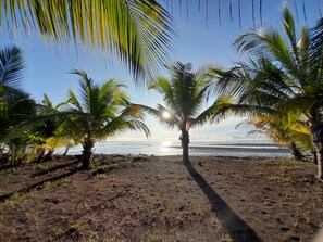 Front of property - Hotel Hibiscus Garden / Jardin De Papos (Hicaco)