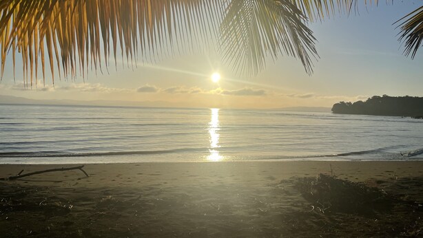 A beach scene with palm leaves framing the view of the ocean and a distant landmass. - Hotel Hibiscus Garden / Jardin De Papos (Hicaco)