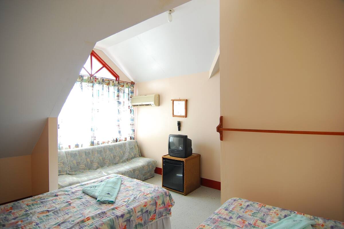 Una habitación pequeña y acogedora con techo inclinado, un sofá, dos camas con ropa de cama estampada, un televisor sobre un mueble de madera y una ventana con cortinas.