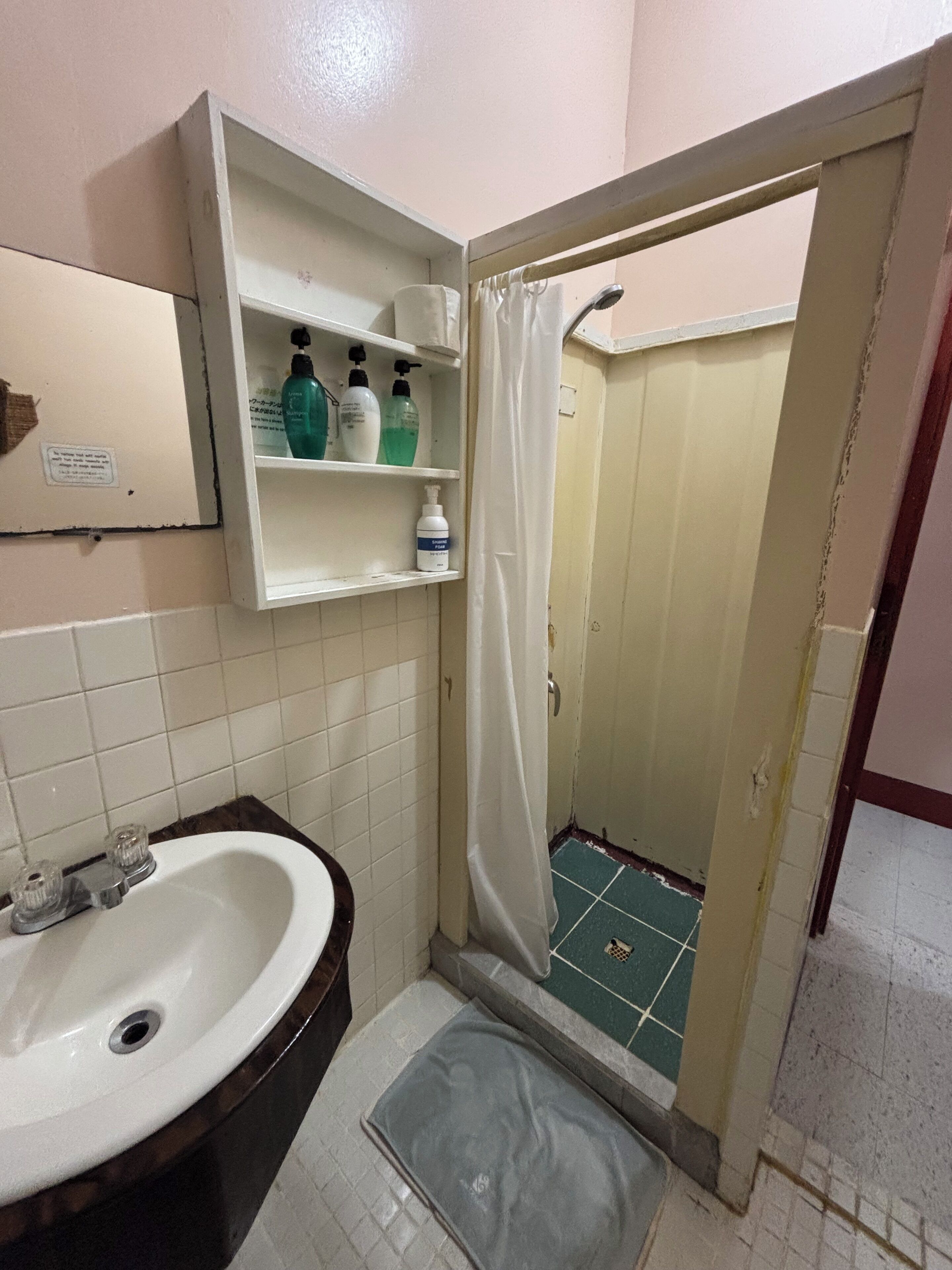 Un baño con lavamanos, espejo y zona de ducha.