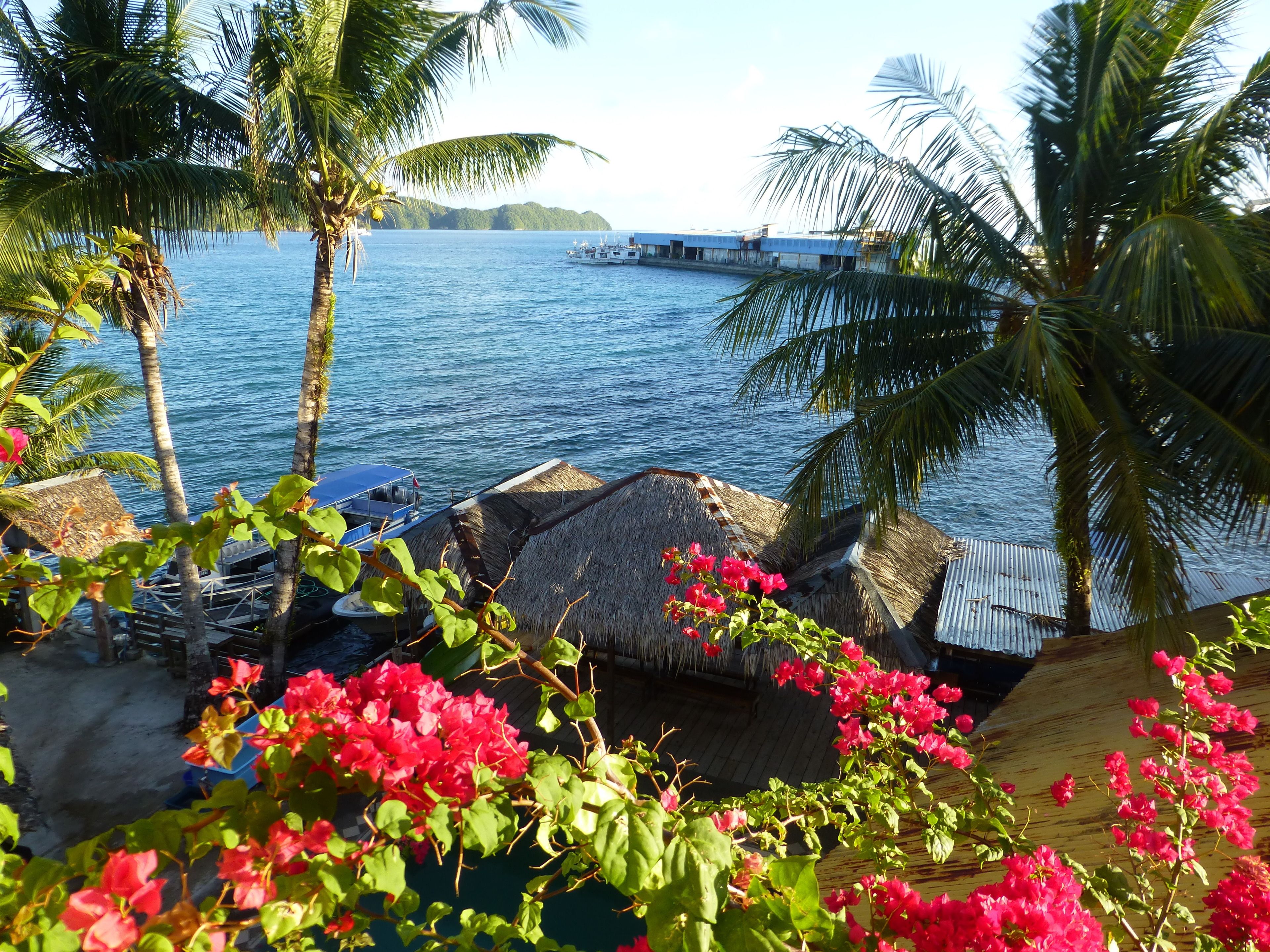 A beach view with palm trees, a boat, and a thatched-roof structure.