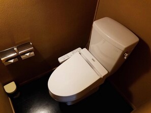 Separate bathtub and shower, free toiletries, hair dryer, slippers