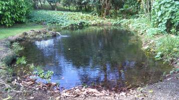 Standard Bungalow, 2 Double Beds | Garden view