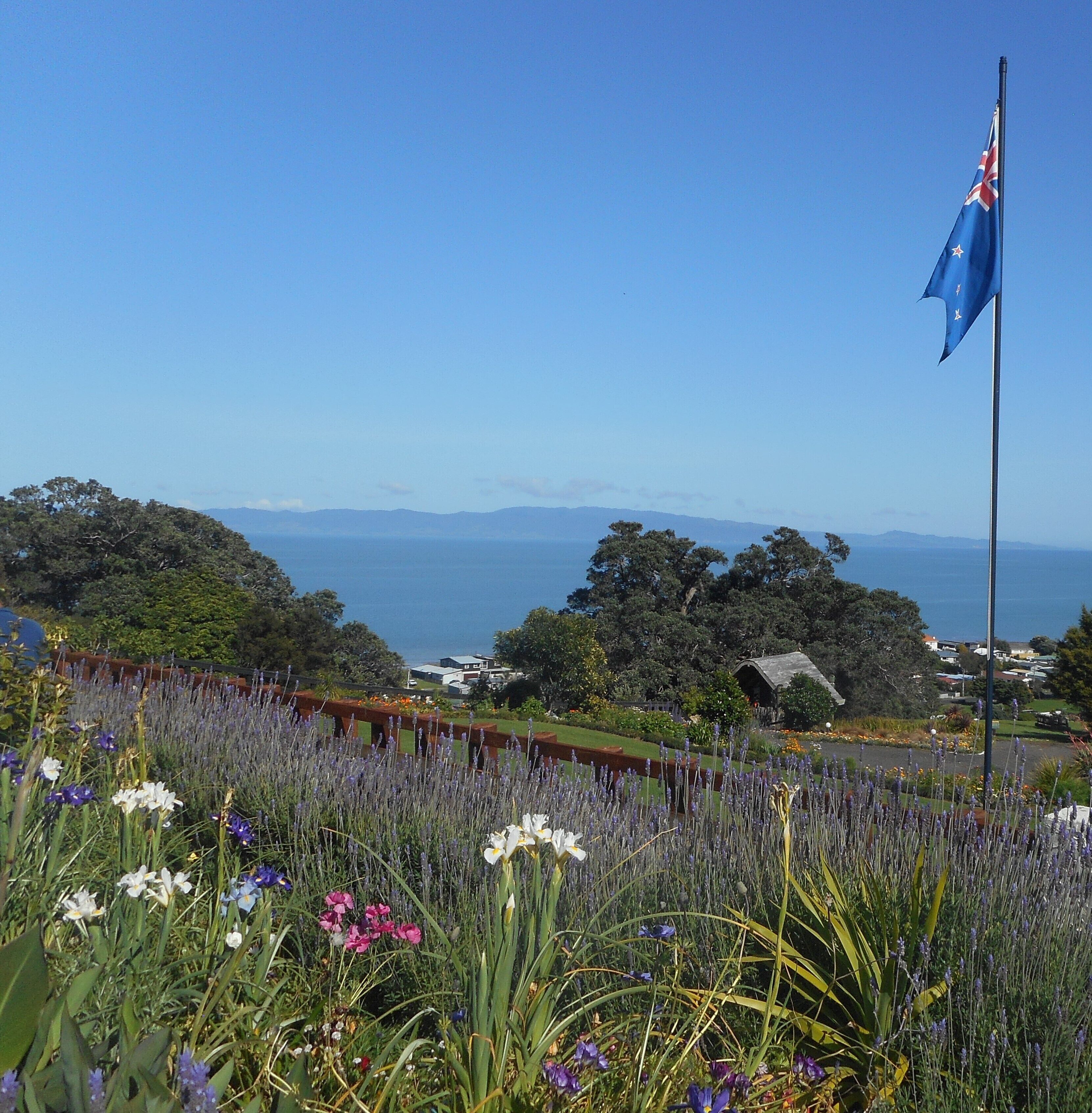 A coastal landscape with a flag, lavender fields, and distant mountains.