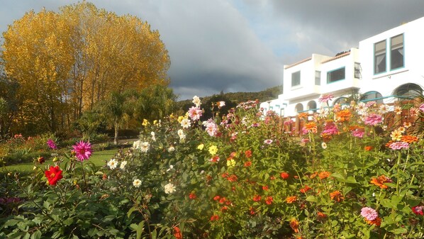 A garden with a variety of colorful flowers in front of a white building with blue trim and arched windows. - Te Aputa Lodge (Te Puru)