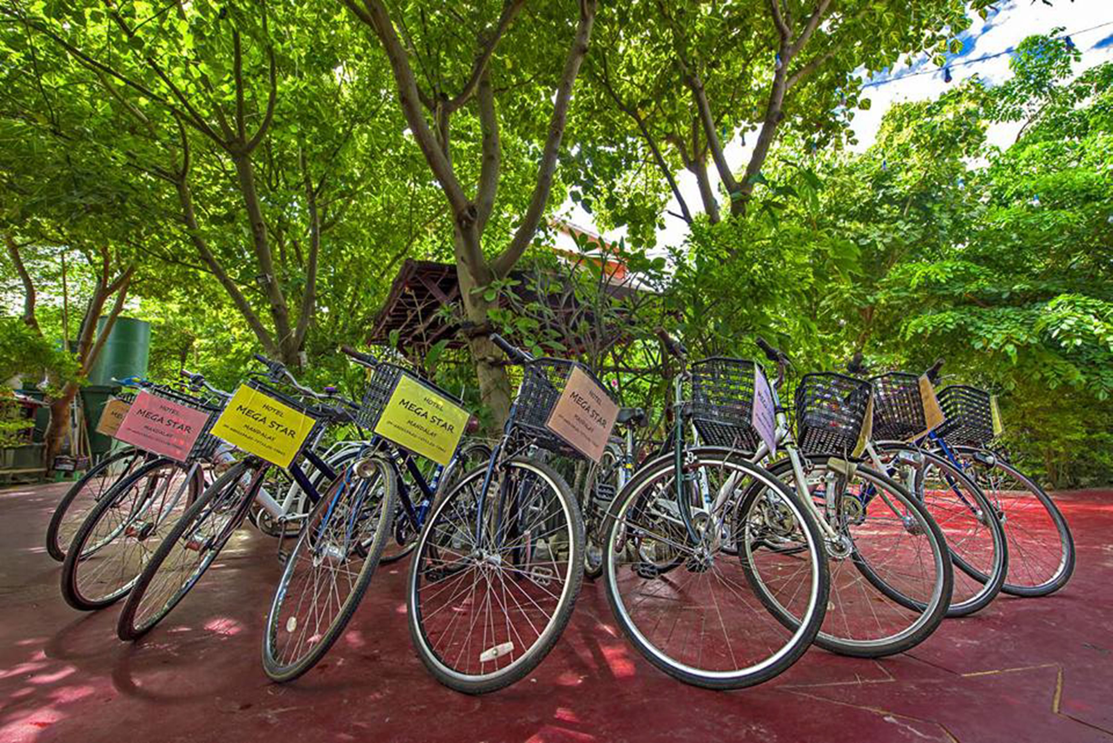 A row of bicycles parked under a tree with signs indicating a hotel named "MEGA STAR."