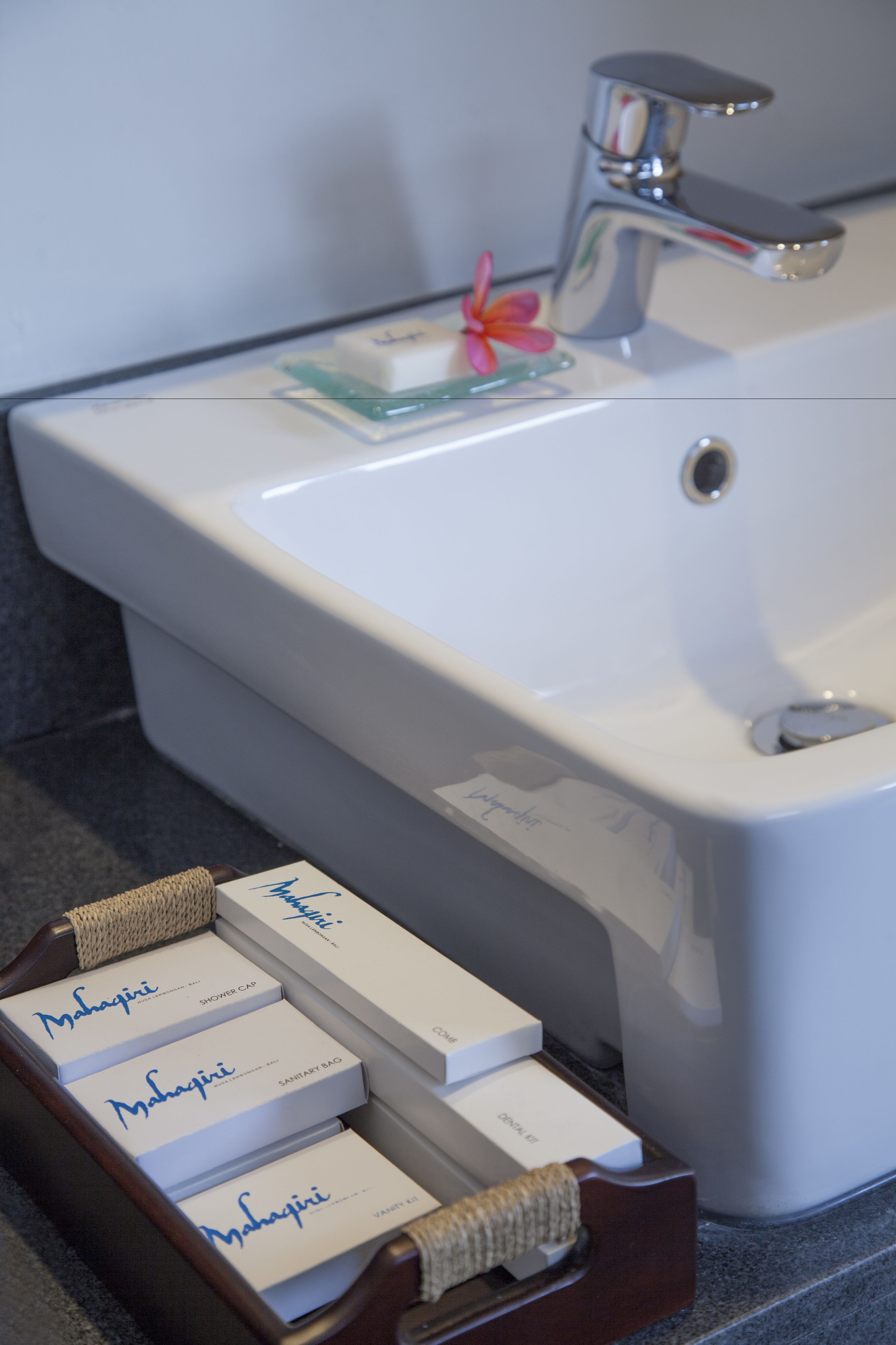 Un lavabo de bany amb un mirall, un aixeta i una petita decoració floral. Hi ha tres productes de la marca Mahagothi al taulell.