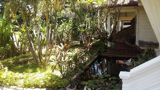 Garden - Mas Bungalows Lovina (Buleleng)