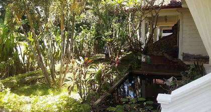 Mas Bungalows Lovina