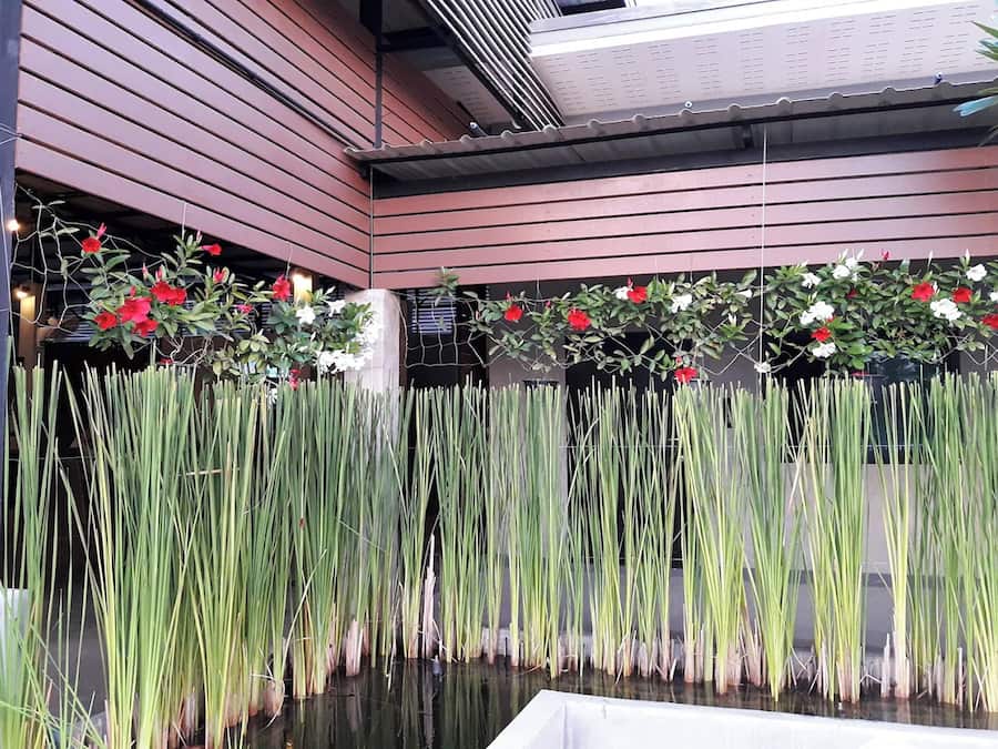 Khuôn viên nơi lưu trú