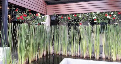 The Loft at Chiangrai