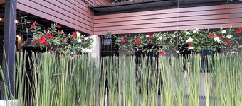 The Loft at Chiangrai