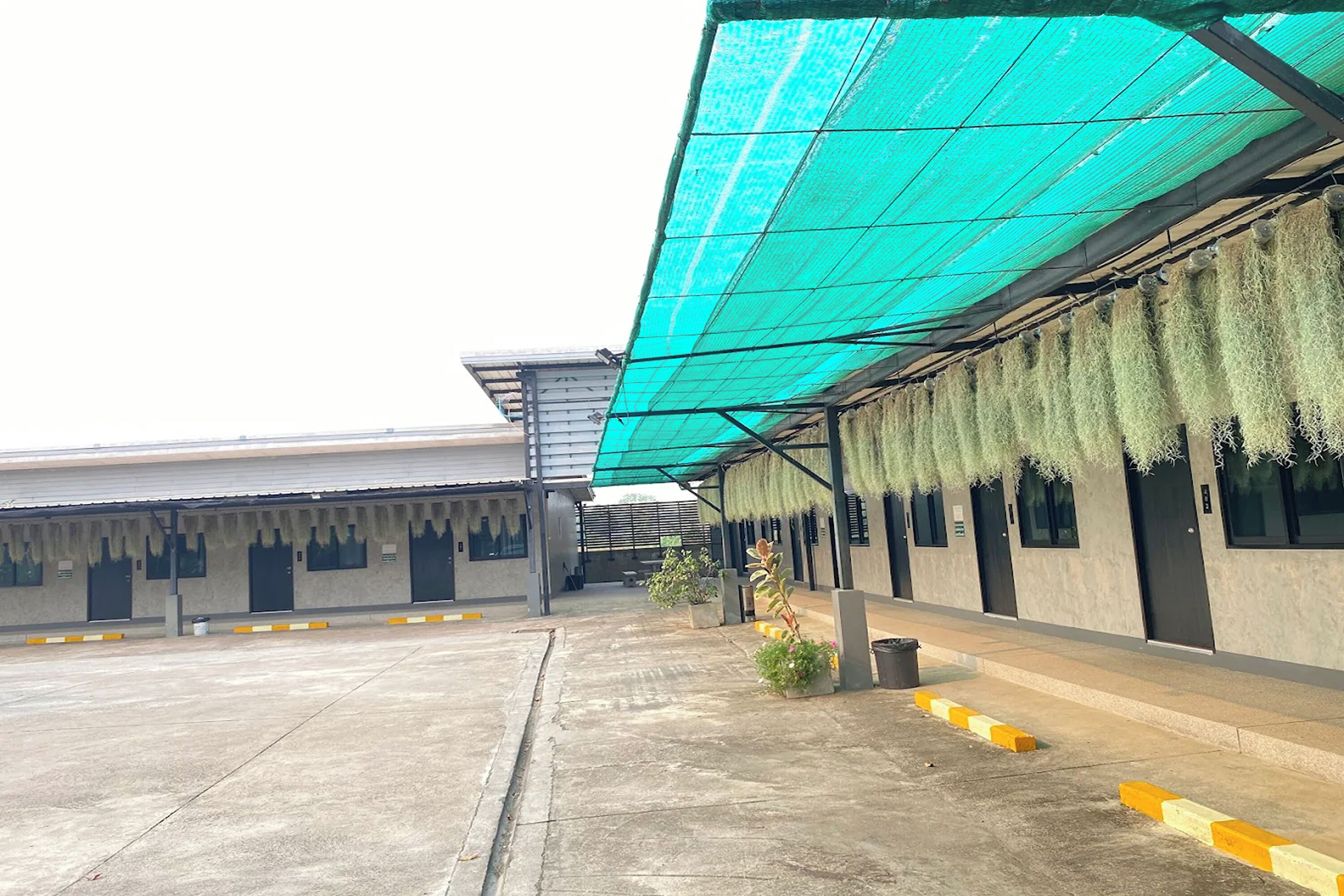 A covered outdoor area with a concrete floor, potted plants, and a green canopy.