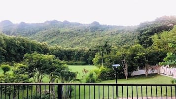 Habitación superior | Vistas al jardín