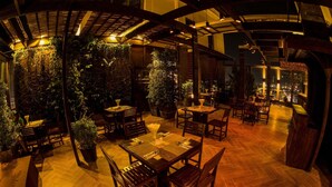 Un comedor interior con mesas y sillas de madera, rodeado de vegetación y vistas de la ciudad de noche.