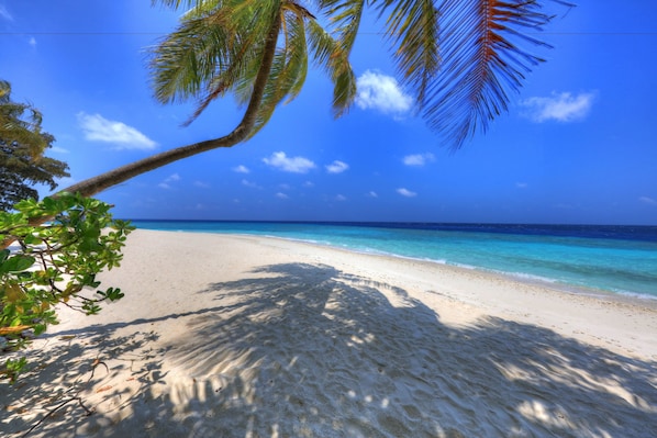 Privat strand i närheten