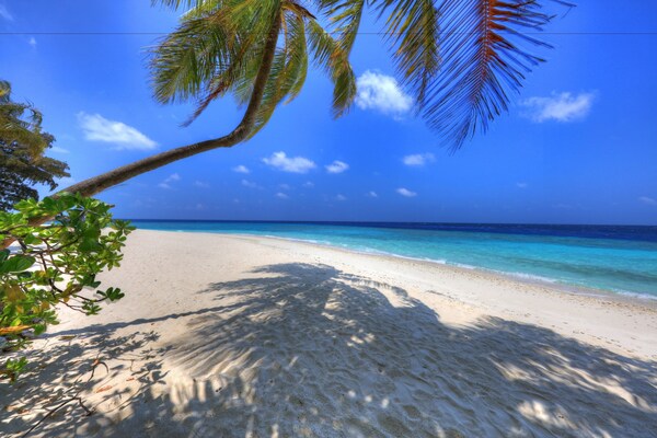 Koimala Hotel - Maldives
