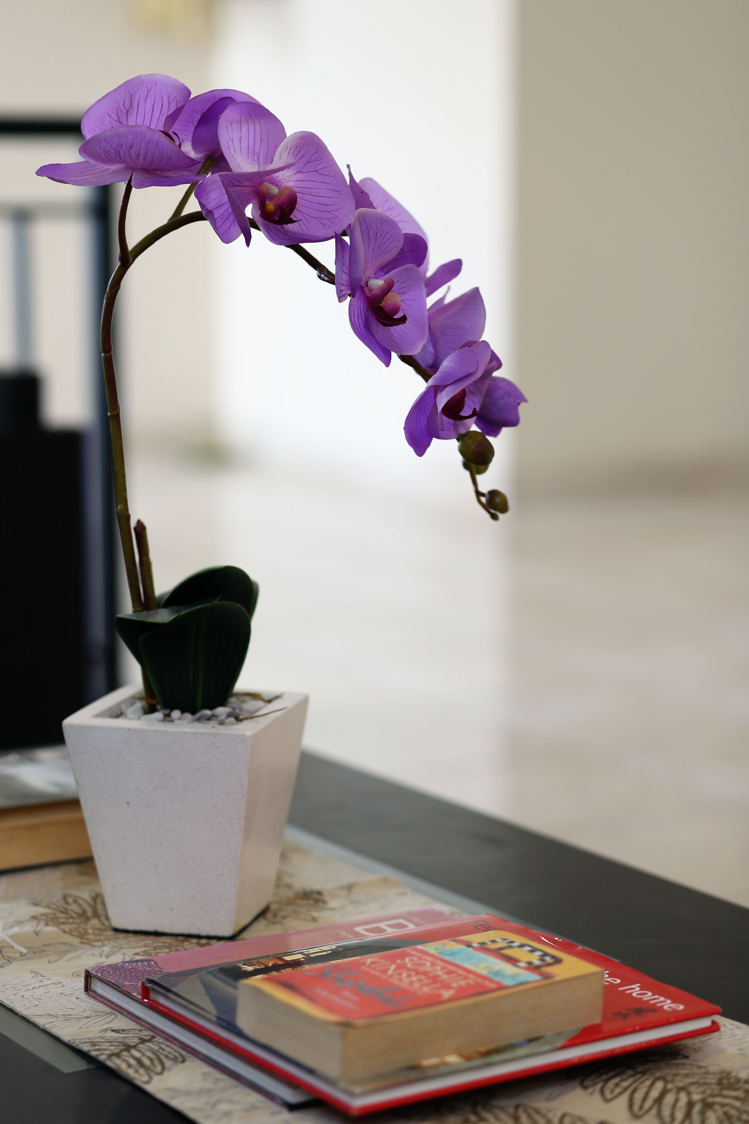 Foto - Cameng Homestay