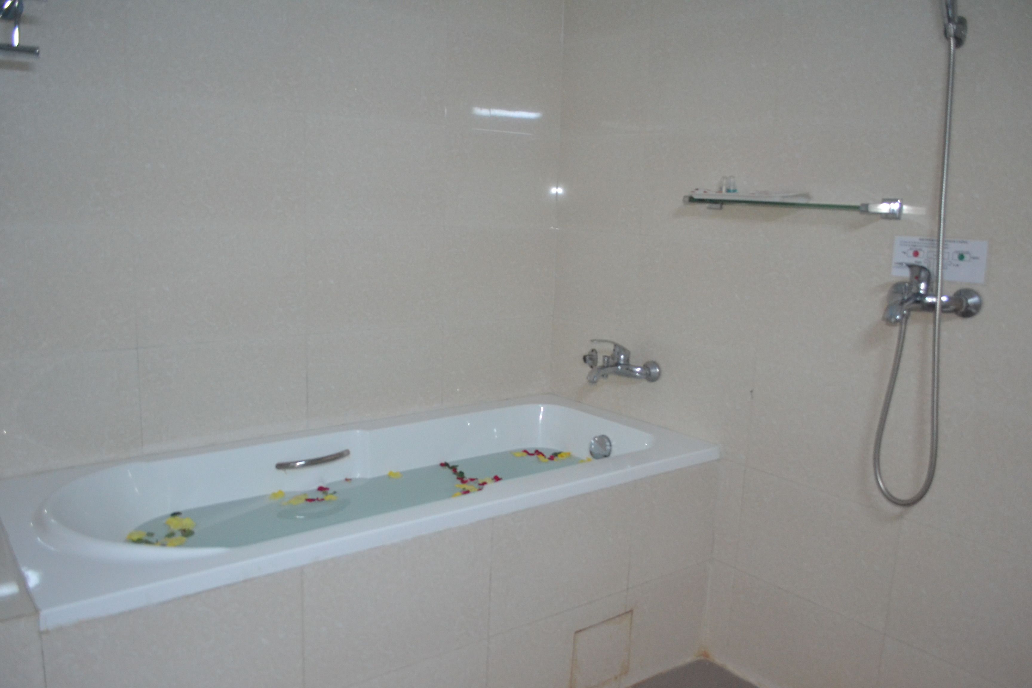 superior double room | bathroom shower