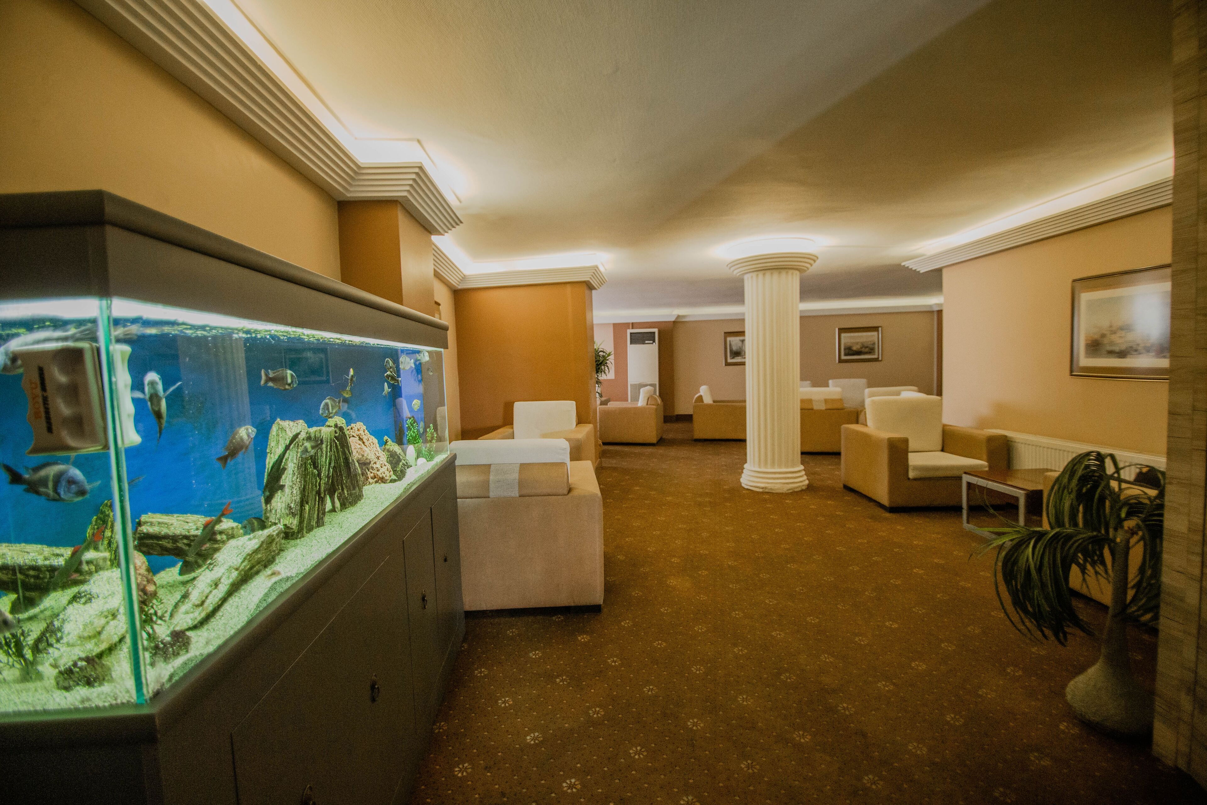 Foto - Hotel Buyuk Sahinler