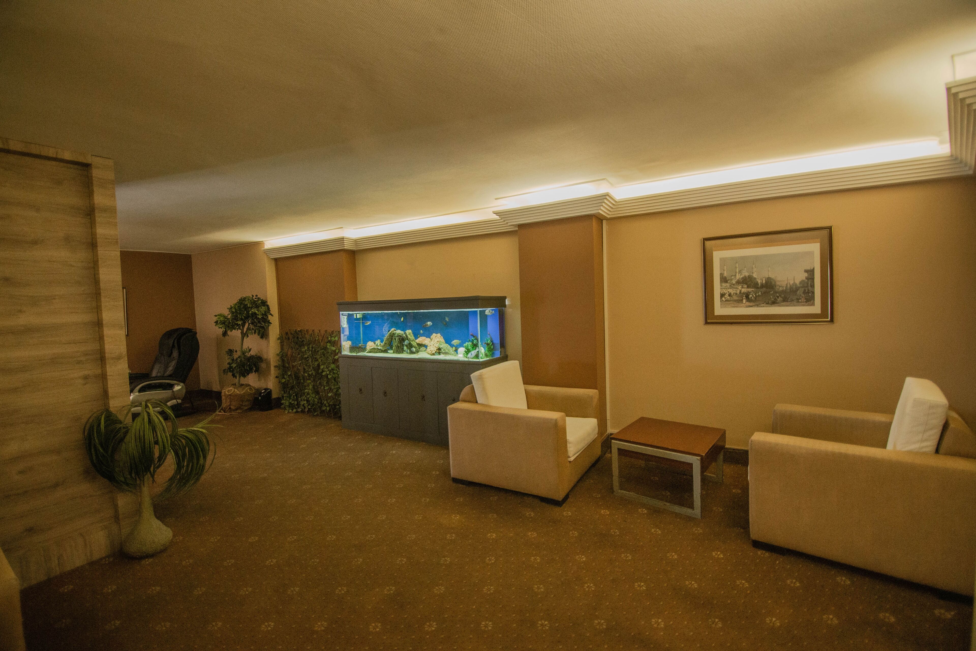 Foto - Hotel Buyuk Sahinler