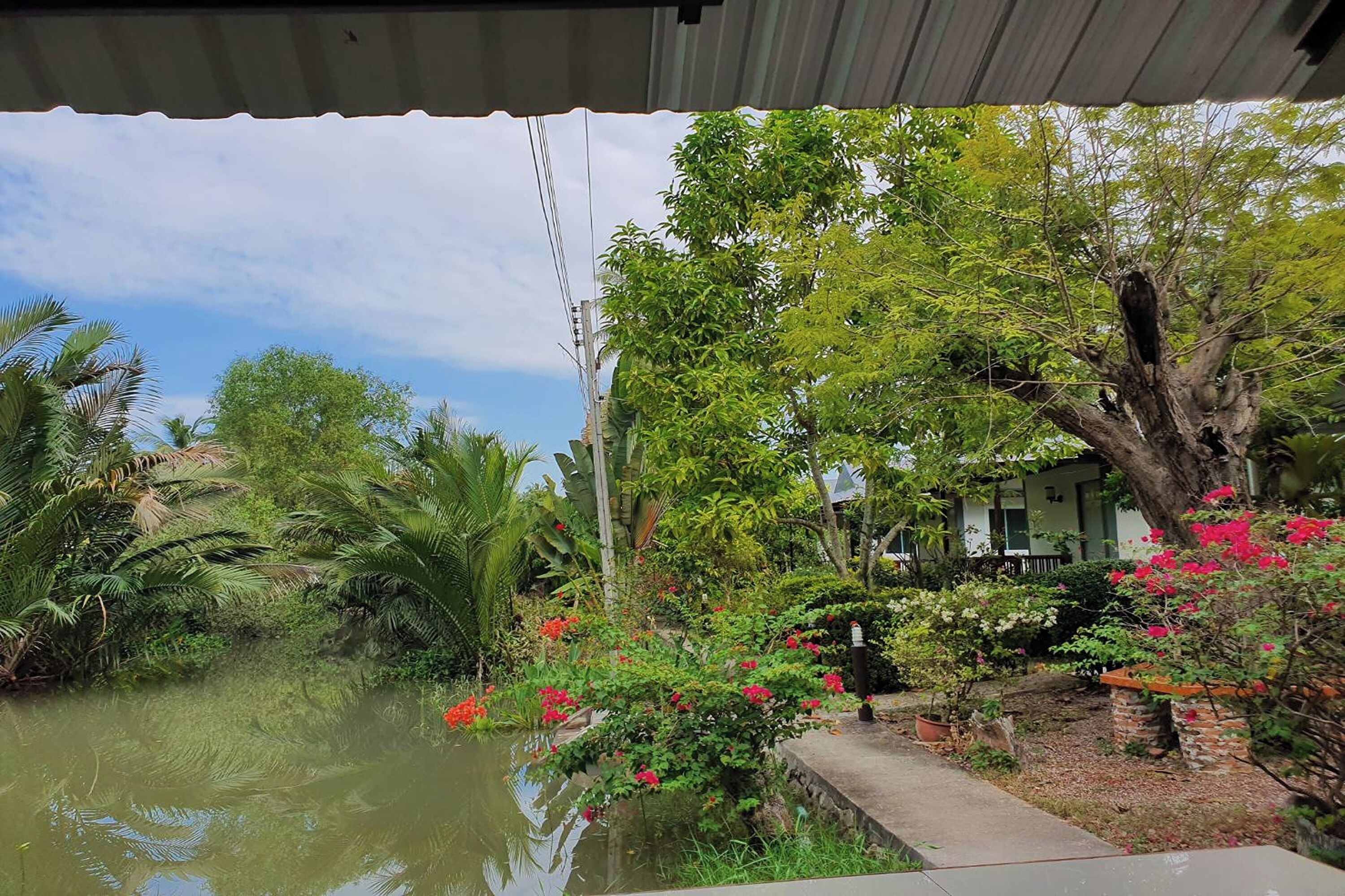 A covered outdoor area with a pond, lush greenery, and a large tree.