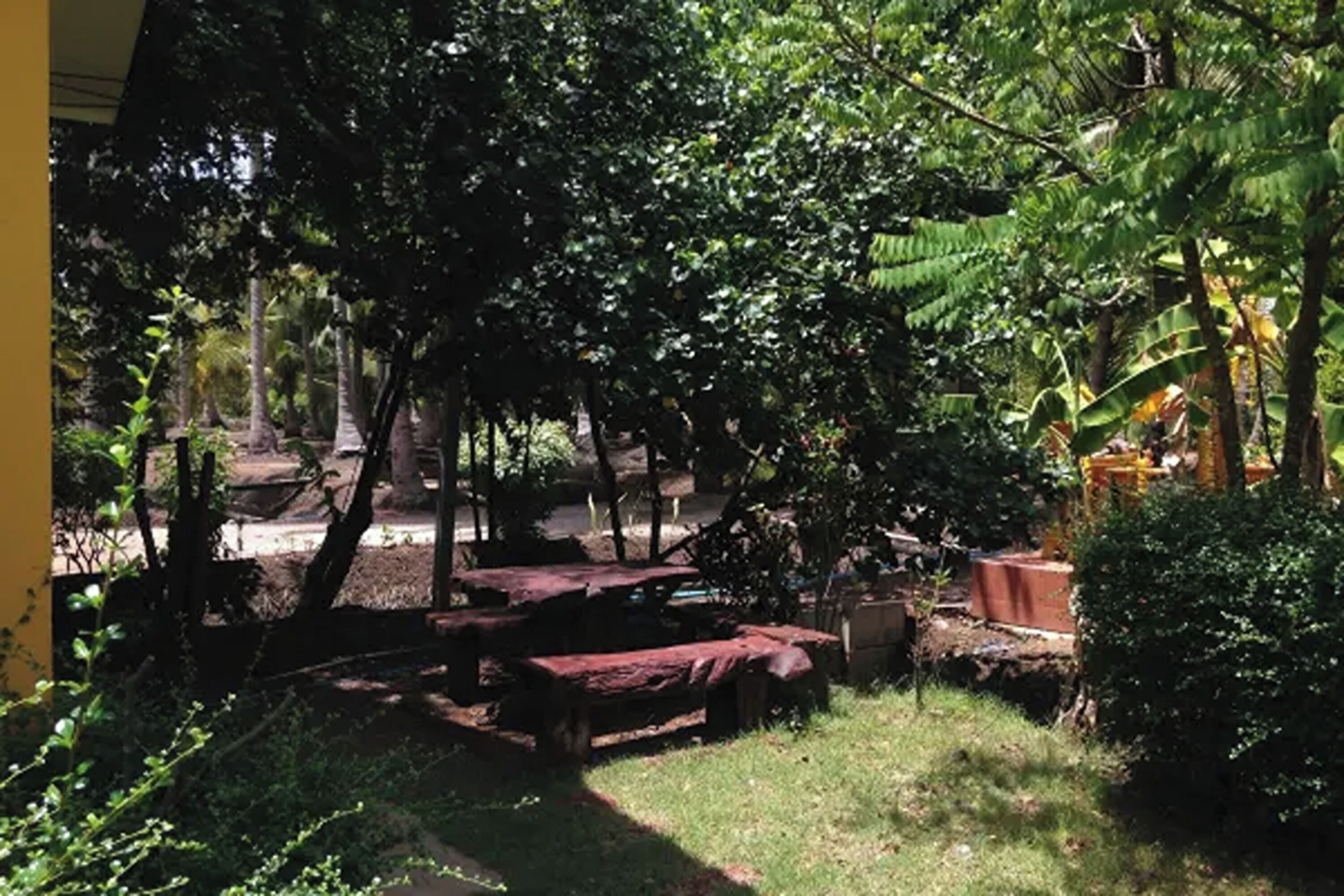 A shaded outdoor area with picnic tables and dense foliage.