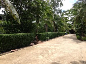 Property grounds - Young Coconut Garden Home Resort (Samut Songkhram)