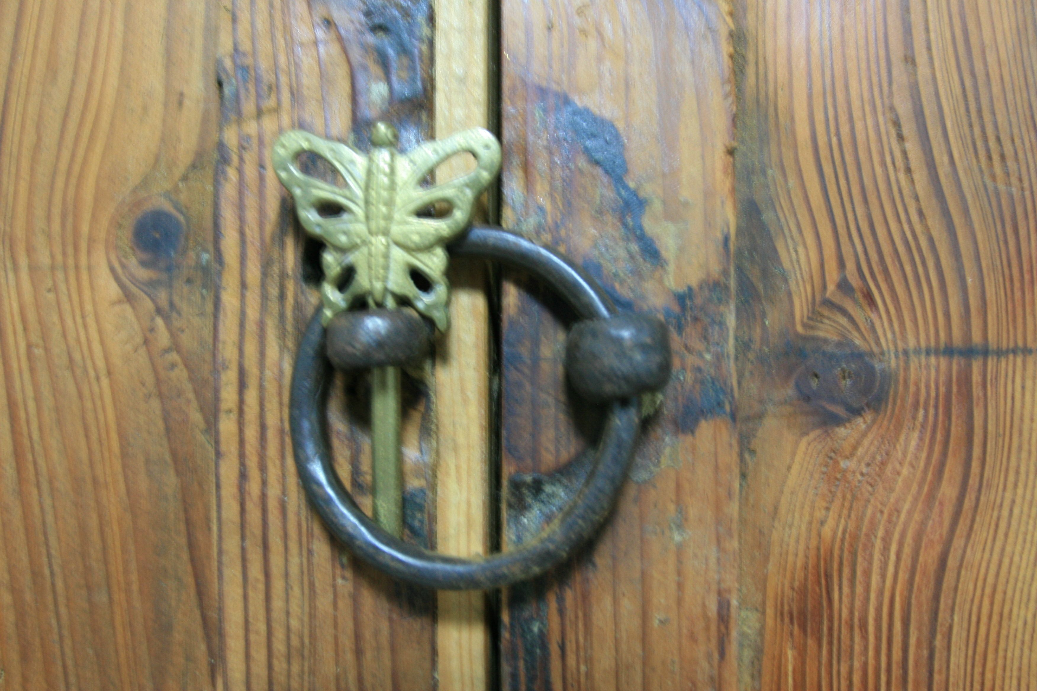 A wooden door with a brass knocker featuring a butterfly design.