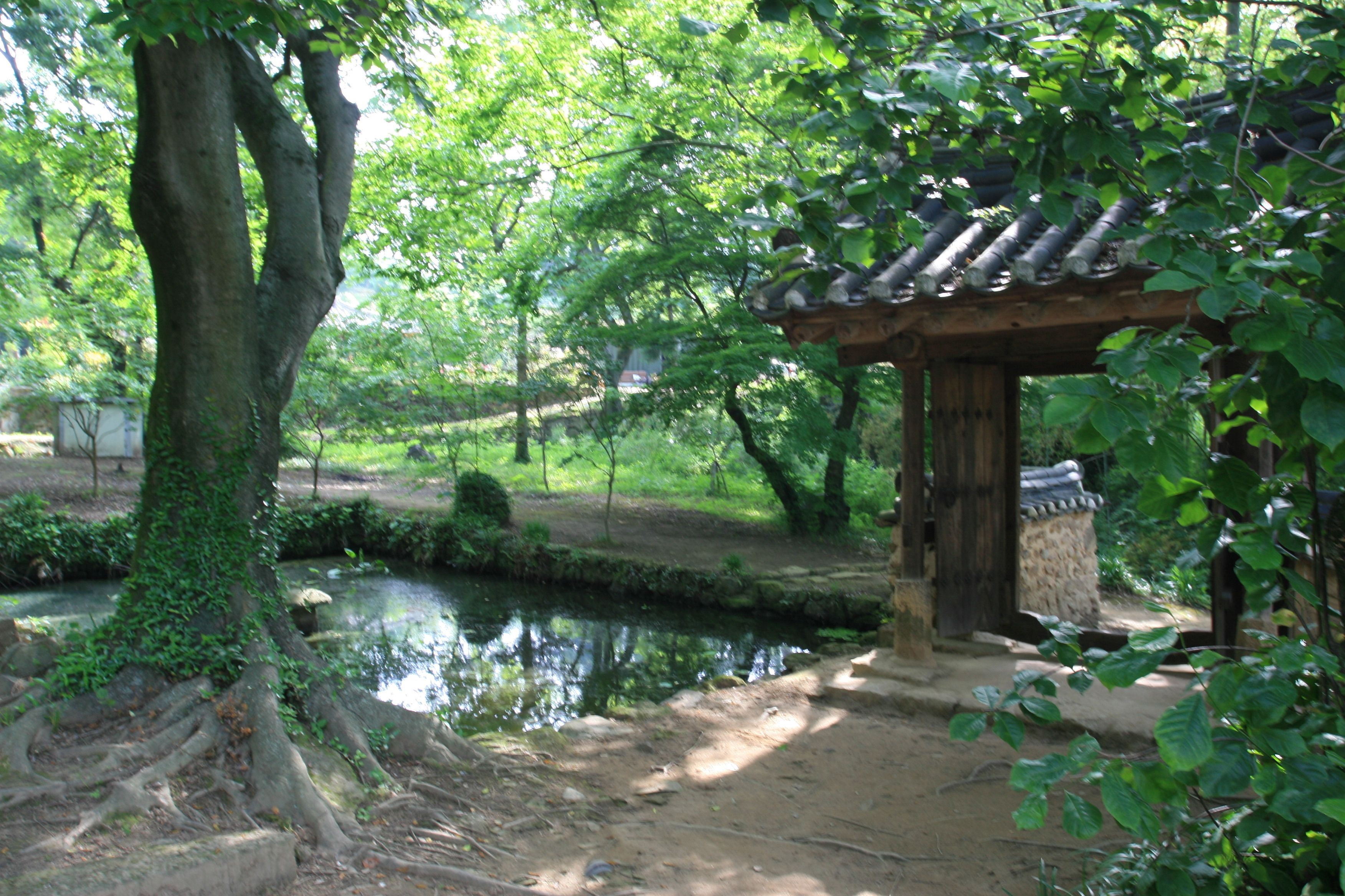 A traditional wooden pavilion with a tiled roof, surrounded by lush greenery and a small pond.