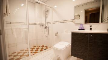 Shower, hair dryer, slippers, towels