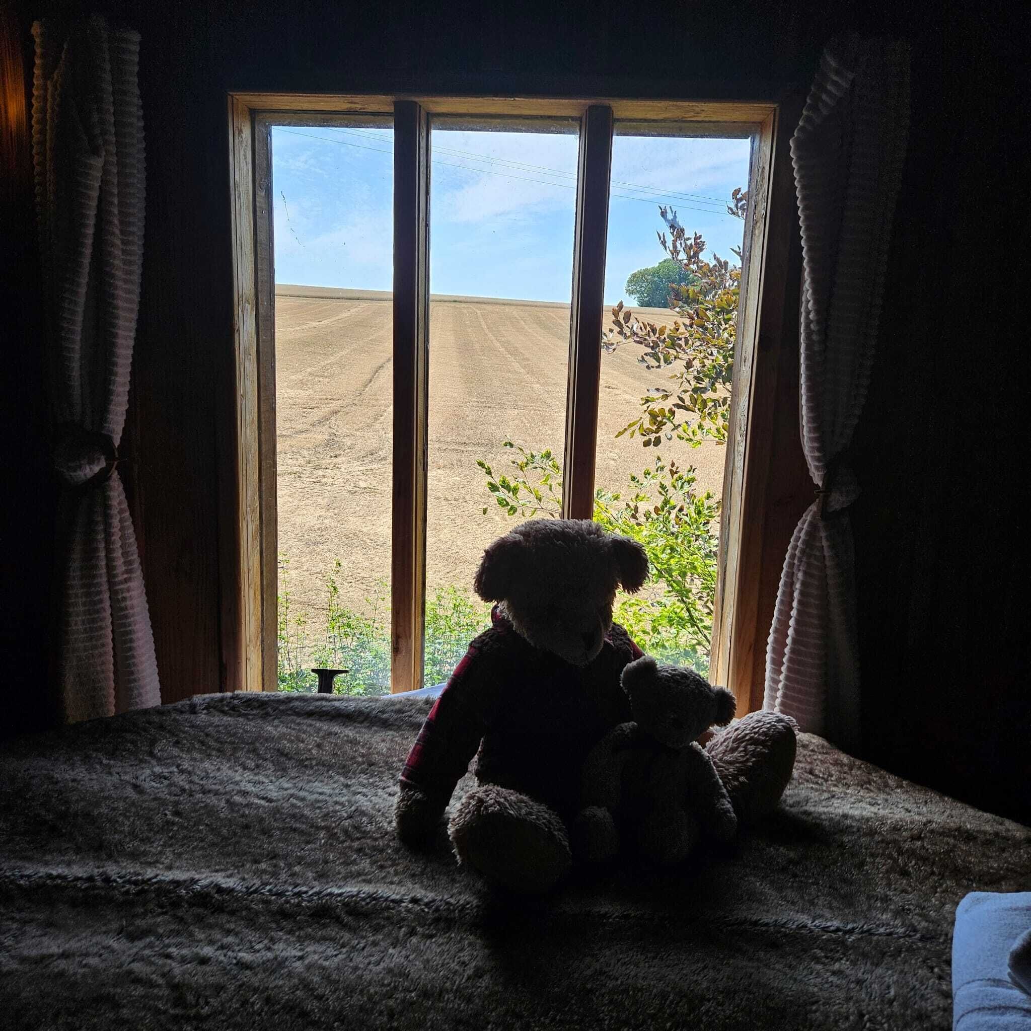 A room with a large window, a bed, and a teddy bear on the bed.