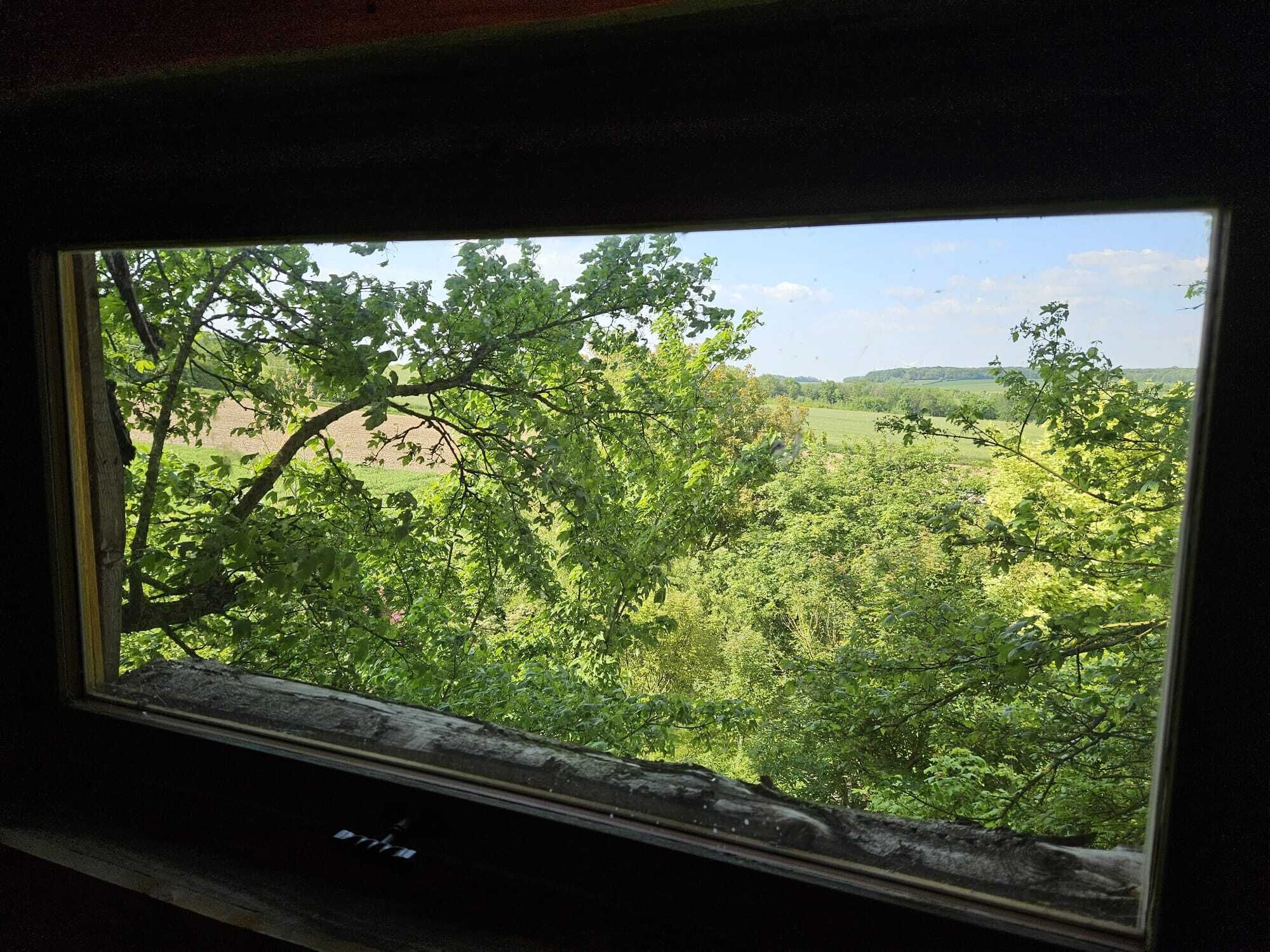 A window with a view of a green landscape, including trees and hills.