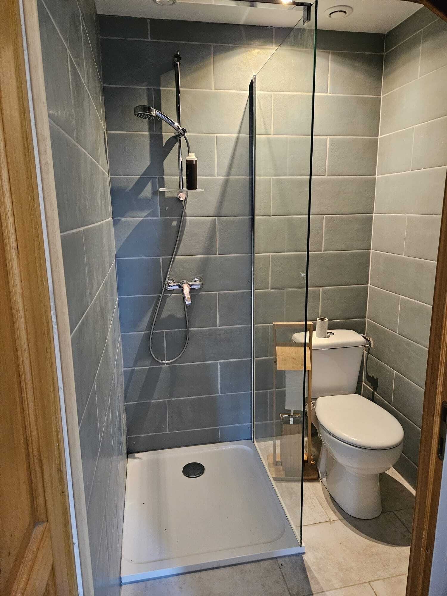 A modern bathroom with a glass-enclosed shower, a white toilet, and a small sink.
