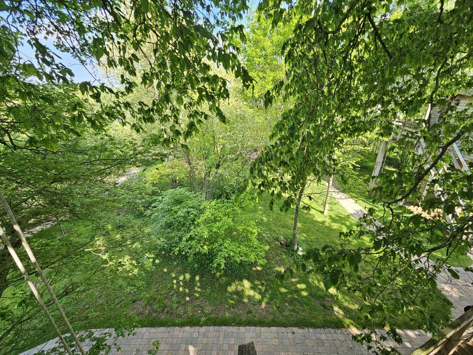 Un exuberante jardín con un sendero empedrado y abundante follaje.