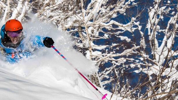A person skiing down a snowy slope with trees in the background. - Morino Lodge Myoko - Hostel (Myoko)