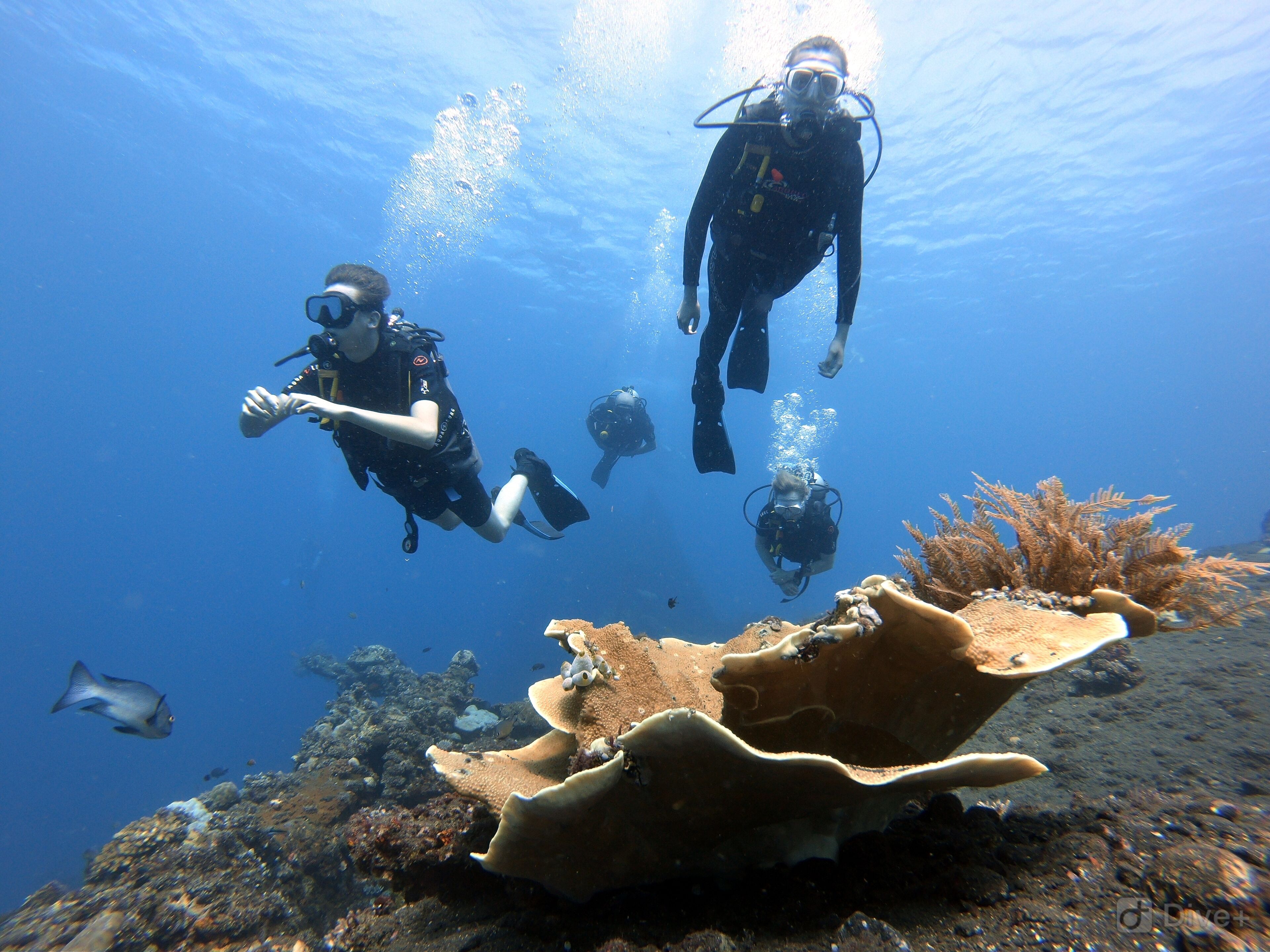 children’s activities