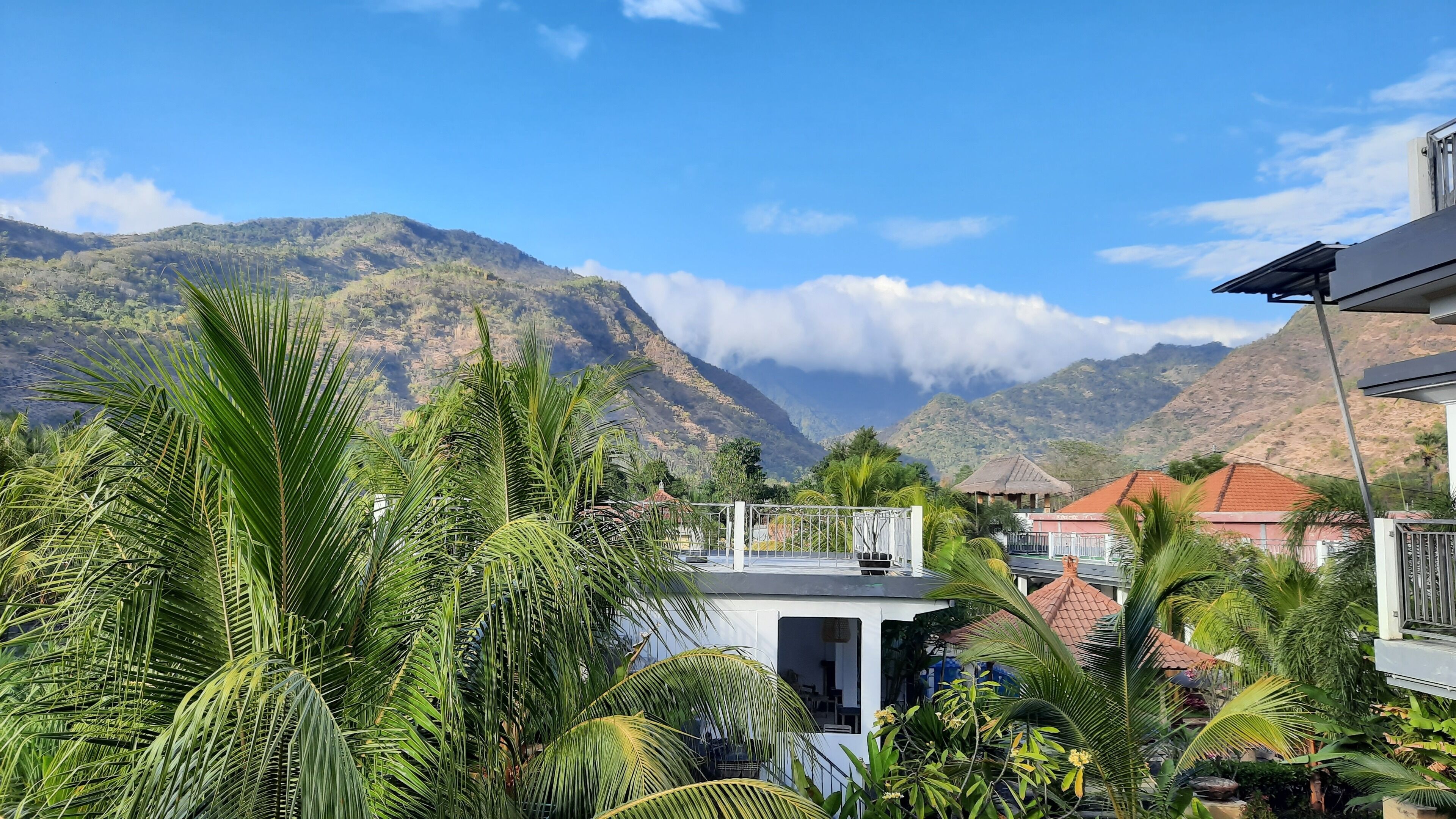 chill on the hill | view from room