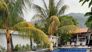 A swimming pool with a checkered tile pattern, surrounded by palm trees and a white wall.