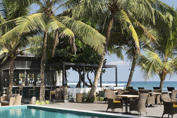 Outdoor pool, sun loungers
