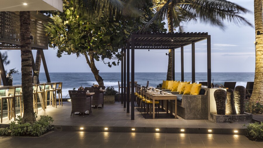 Owl and the Pussycat